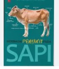 BERBAGAI PENYAKIT PADA SAPI