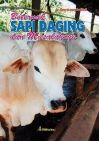 BERTERNAK SAPI DAGING DAN MASALAHNYA