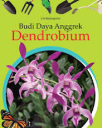 BUDI DAYA ANGGREK DENDROBIUM