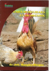 Image of Cara memelihara ayam organik
