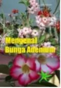 MENGENAL DAN BERTANAM BUNGA ADENIUM