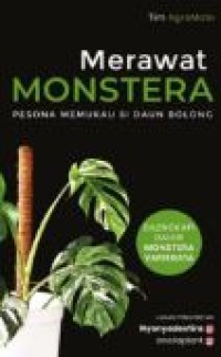 MERAWAT MONSTERA PESONA MEMUKAU SI DAUN BOLONG