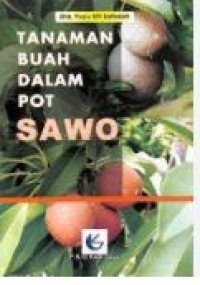TANAMAN BUAH DALAM POT SAWO