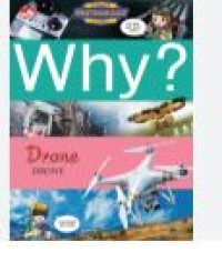 WHY DRONE