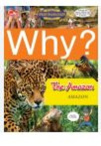 WHY THE AMAZON